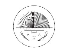 Multi-Scale